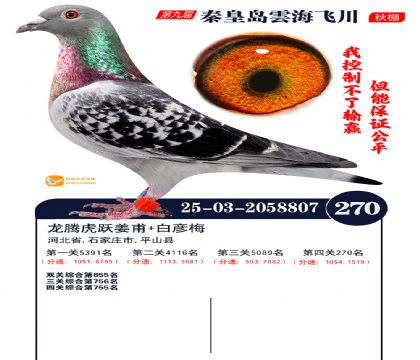 녺��ɴ�����270��