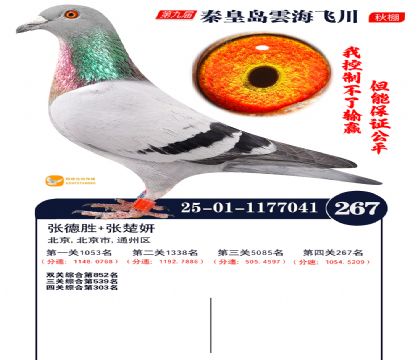 녺��ɴ�����267��