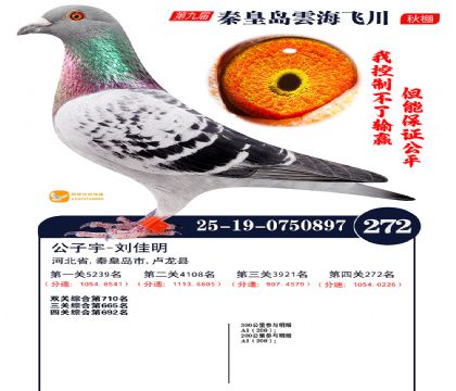 녺��ɴ�����272��