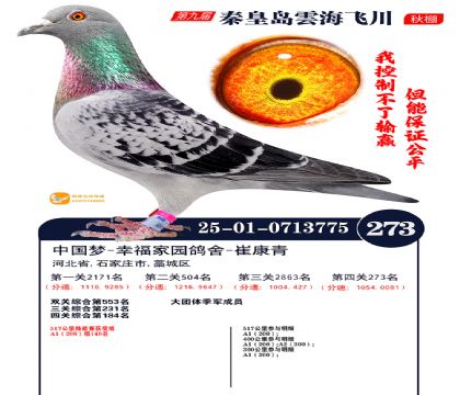 녺��ɴ�����273��