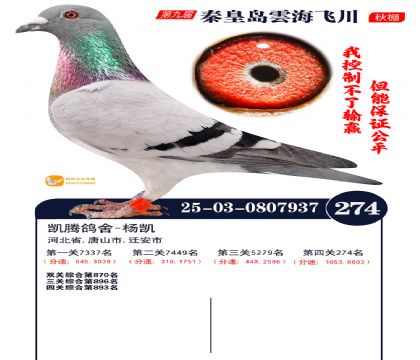 녺��ɴ�����274��