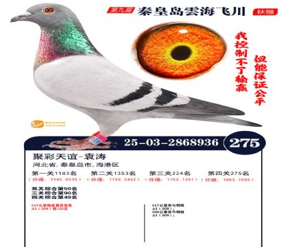 녺��ɴ�����275��