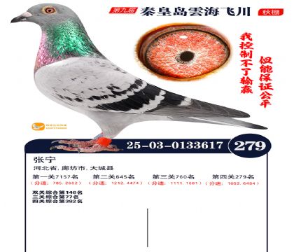 녺��ɴ�����279��