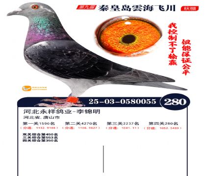 녺��ɴ�����280��