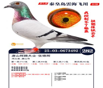 녺��ɴ�����282��