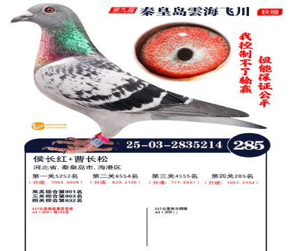 녺��ɴ�����285��