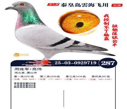 녺��ɴ�����287��