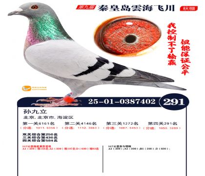 녺��ɴ�����291��