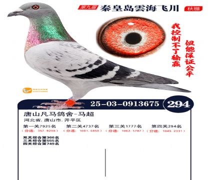 녺��ɴ�����294��