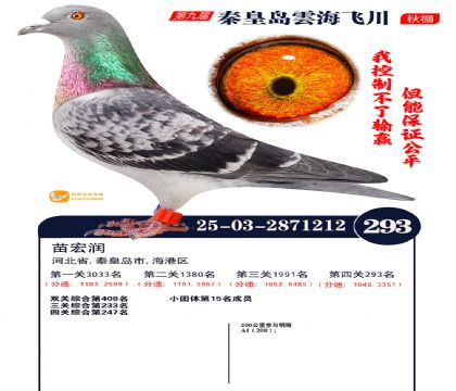 녺��ɴ�����293��