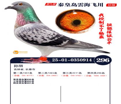 녺��ɴ�����296��