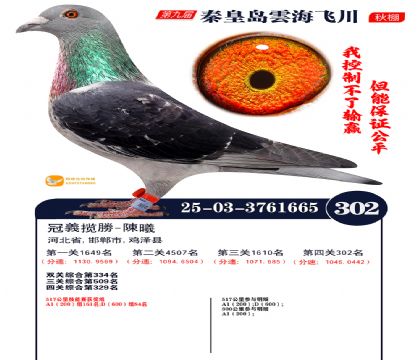 녺��ɴ�����302��