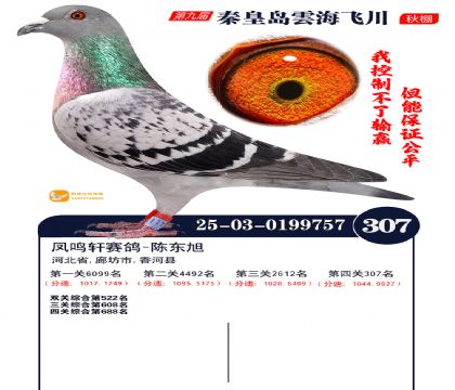 녺��ɴ�����307��