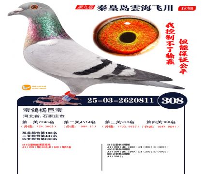 녺��ɴ�����308��