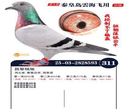 녺��ɴ�����311��