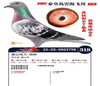 녺��ɴ�����318��