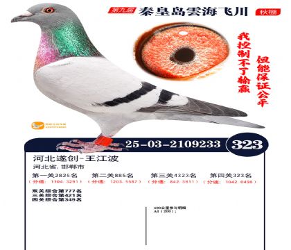 녺��ɴ�����323��