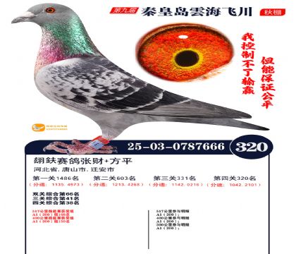 녺��ɴ�����320��