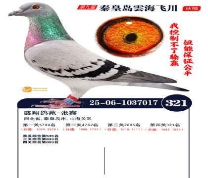 녺��ɴ�����321��