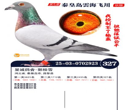 녺��ɴ�����327��