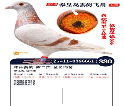 녺��ɴ�����330��