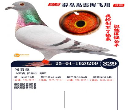 녺��ɴ�����329��