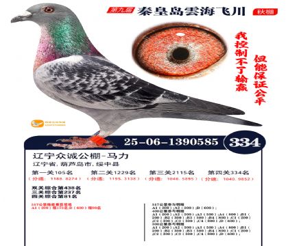 녺��ɴ�����334��