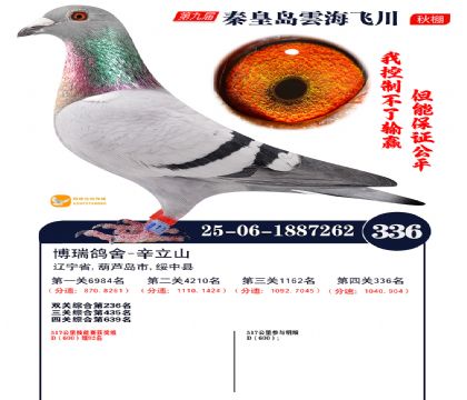 녺��ɴ�����336��