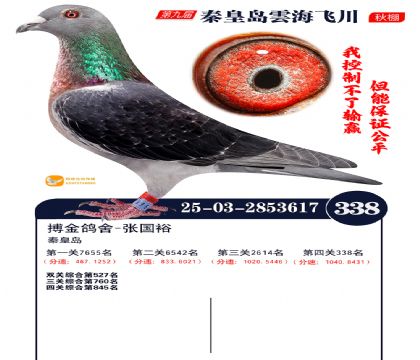 녺��ɴ�����338��