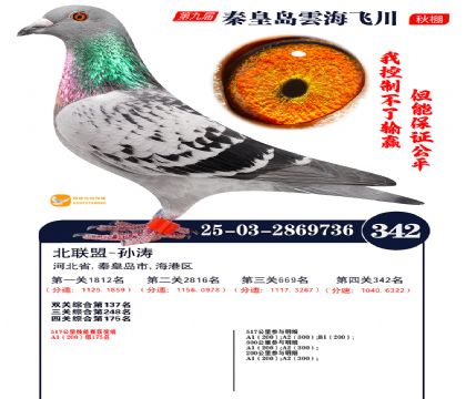 녺��ɴ�����342��