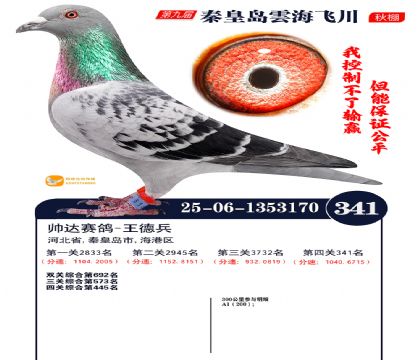 녺��ɴ�����341��