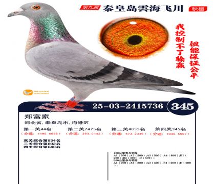 녺��ɴ�����345��