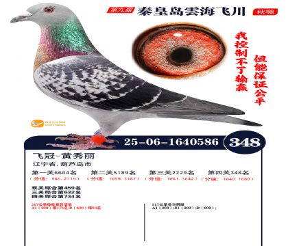 녺��ɴ�����348��