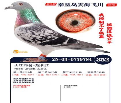 녺��ɴ�����352��