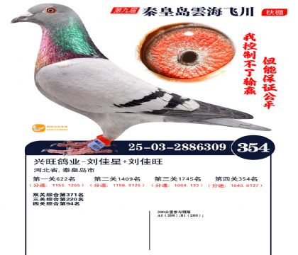 녺��ɴ�����354��