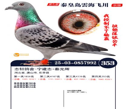 녺��ɴ�����353��