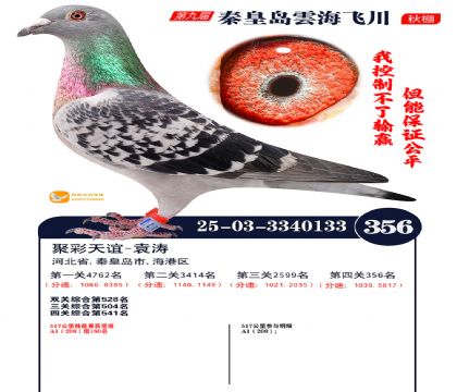 녺��ɴ�����356��