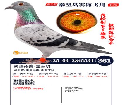 녺��ɴ�����361��