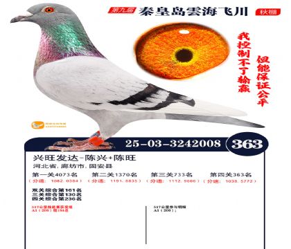 녺��ɴ�����363��