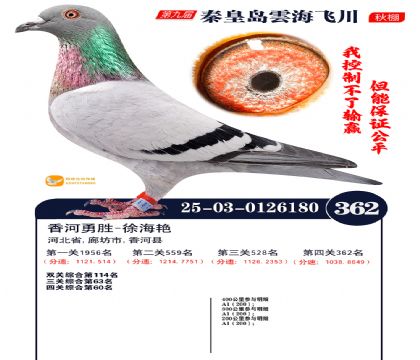 녺��ɴ�����362��