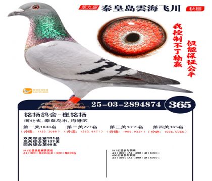 녺��ɴ�����365��