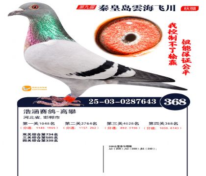 녺��ɴ�����368��