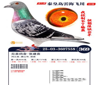 녺��ɴ�����369��