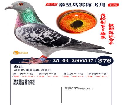 녺��ɴ�����376��