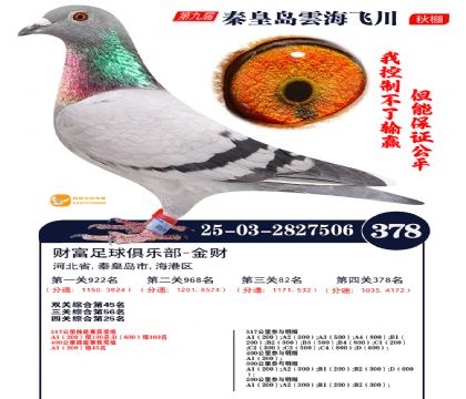 녺��ɴ�����378��