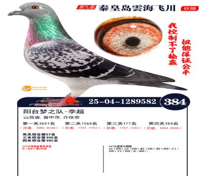 녺��ɴ�����384��