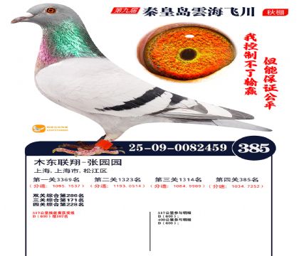 녺��ɴ�����385��