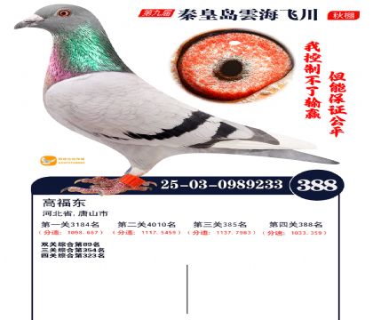 녺��ɴ�����388��