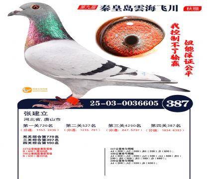 녺��ɴ�����387��