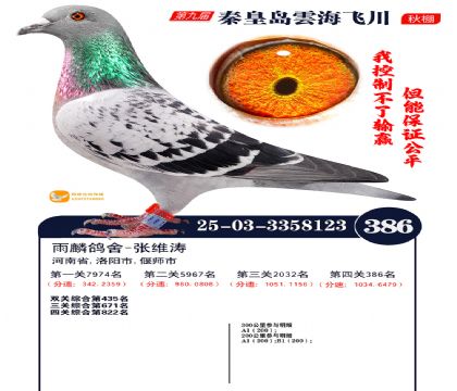 녺��ɴ�����386��